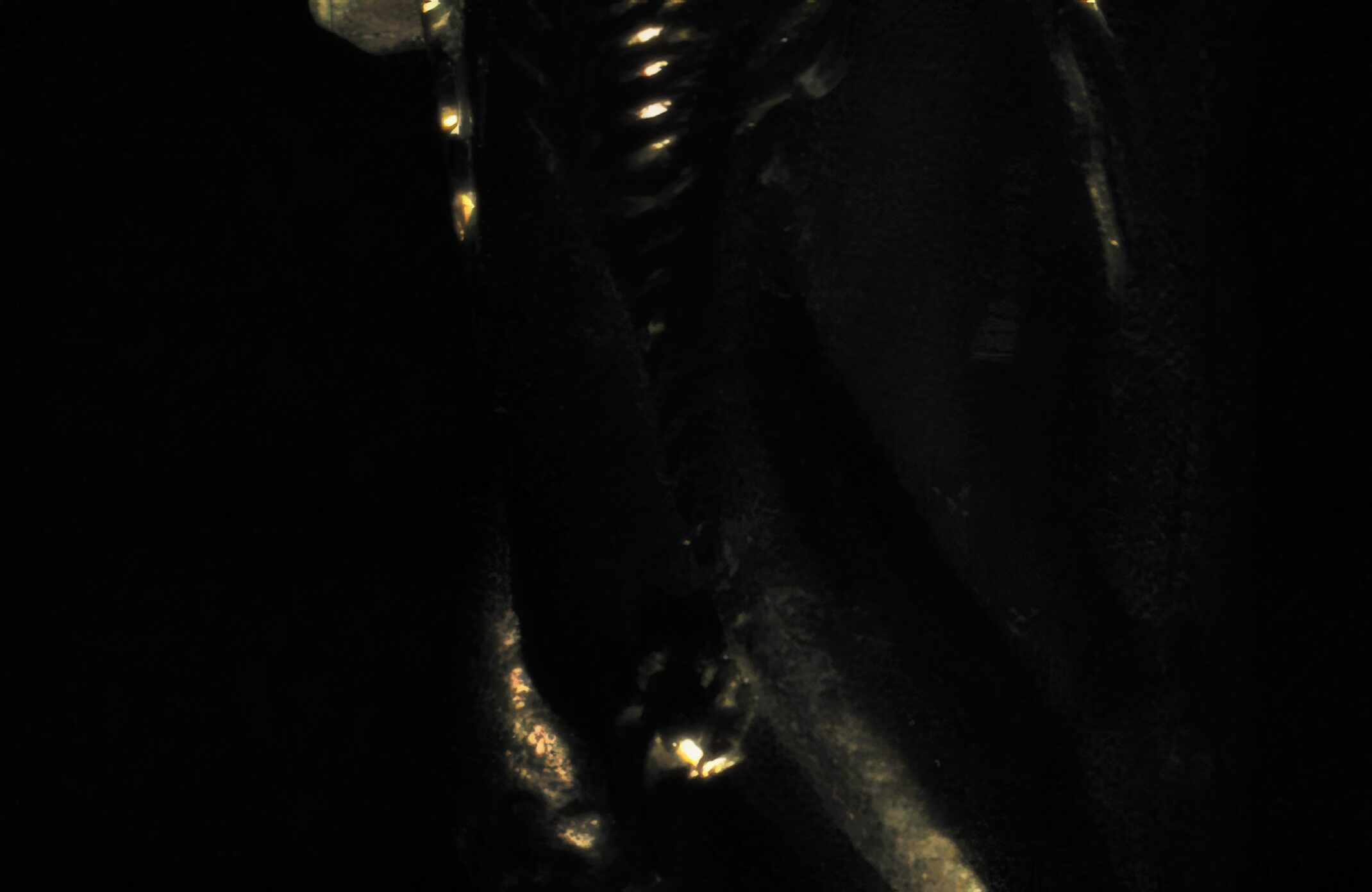Christopher McFall - Sensuality May Be Found at the Mouth of a Snake